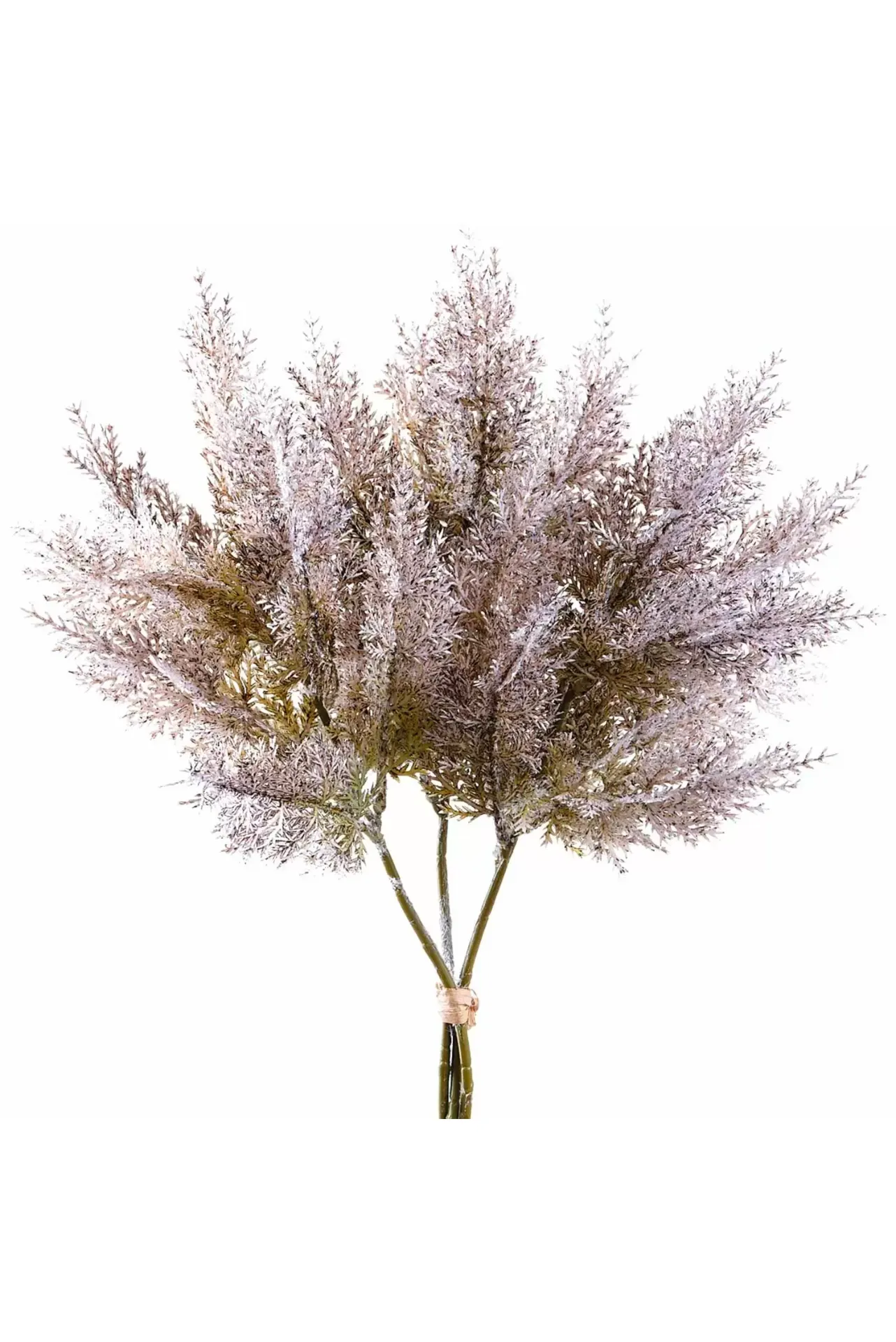 13.5" Pampas Grass Bundle