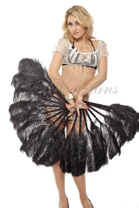 A pair Single layer  black Beginner’s Ostrich Feather Fan