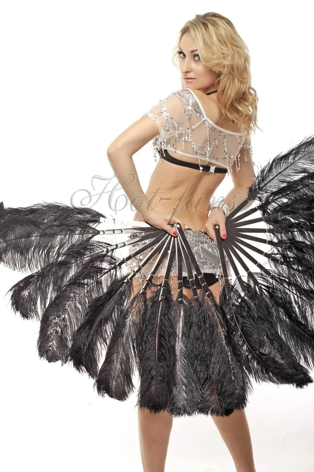 A pair Single layer  black Beginner’s Ostrich Feather Fan