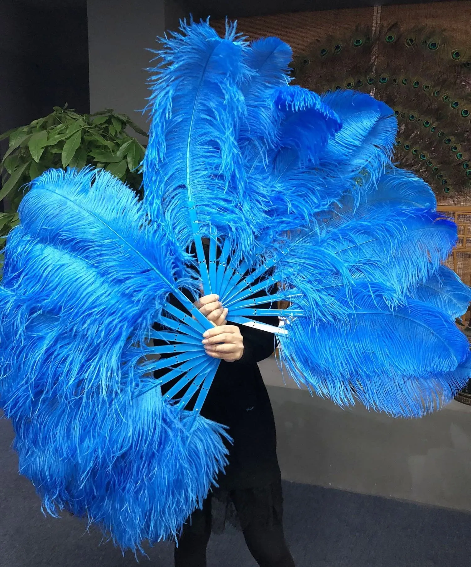 A pair Single layer blue Beginner’s Ostrich Feather Fan