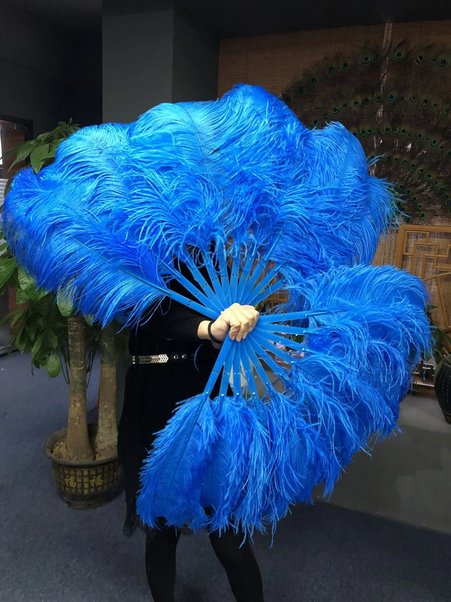 A pair Single layer blue Beginner’s Ostrich Feather Fan