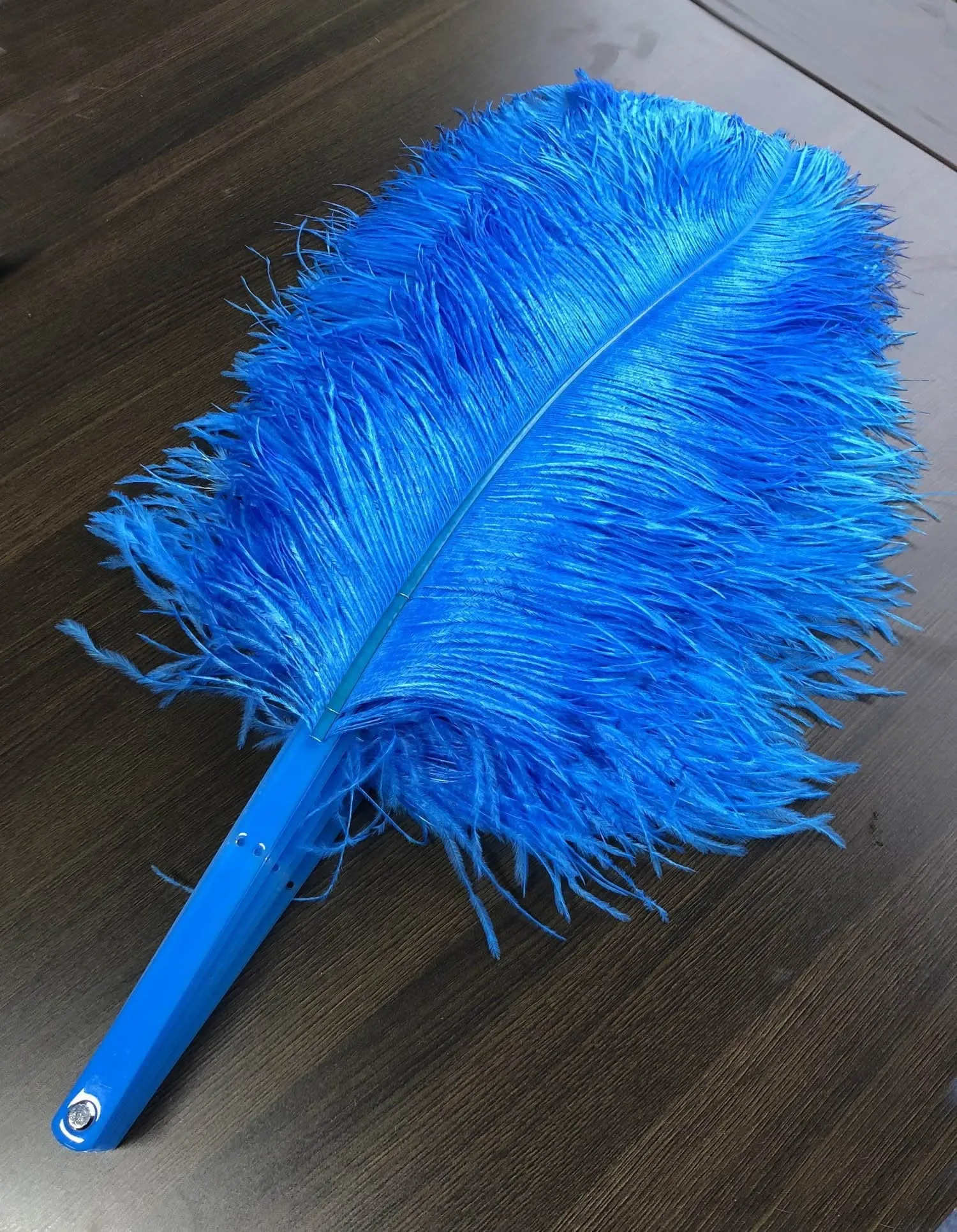 A pair Single layer blue Beginner’s Ostrich Feather Fan