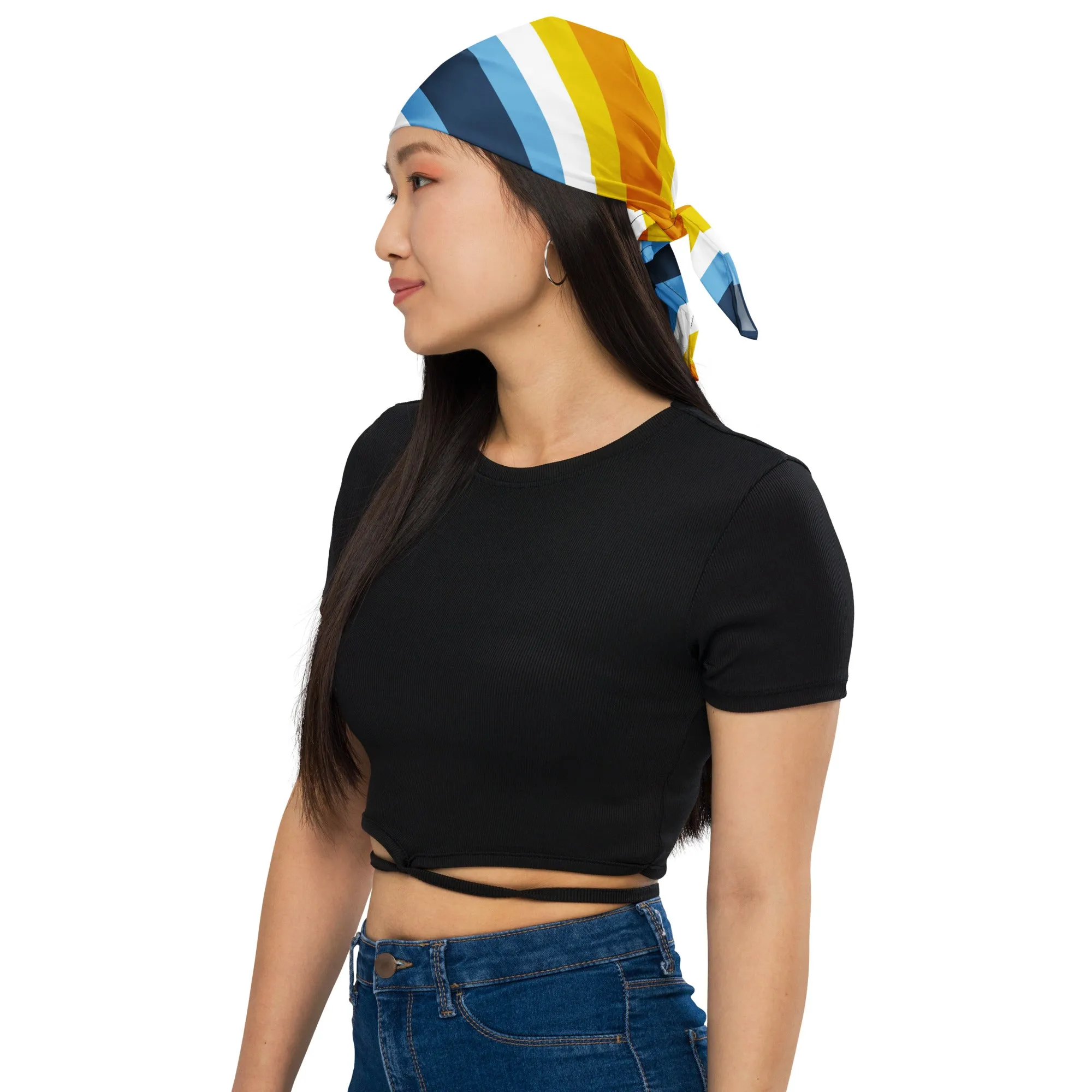 AroAce Flag Bandana