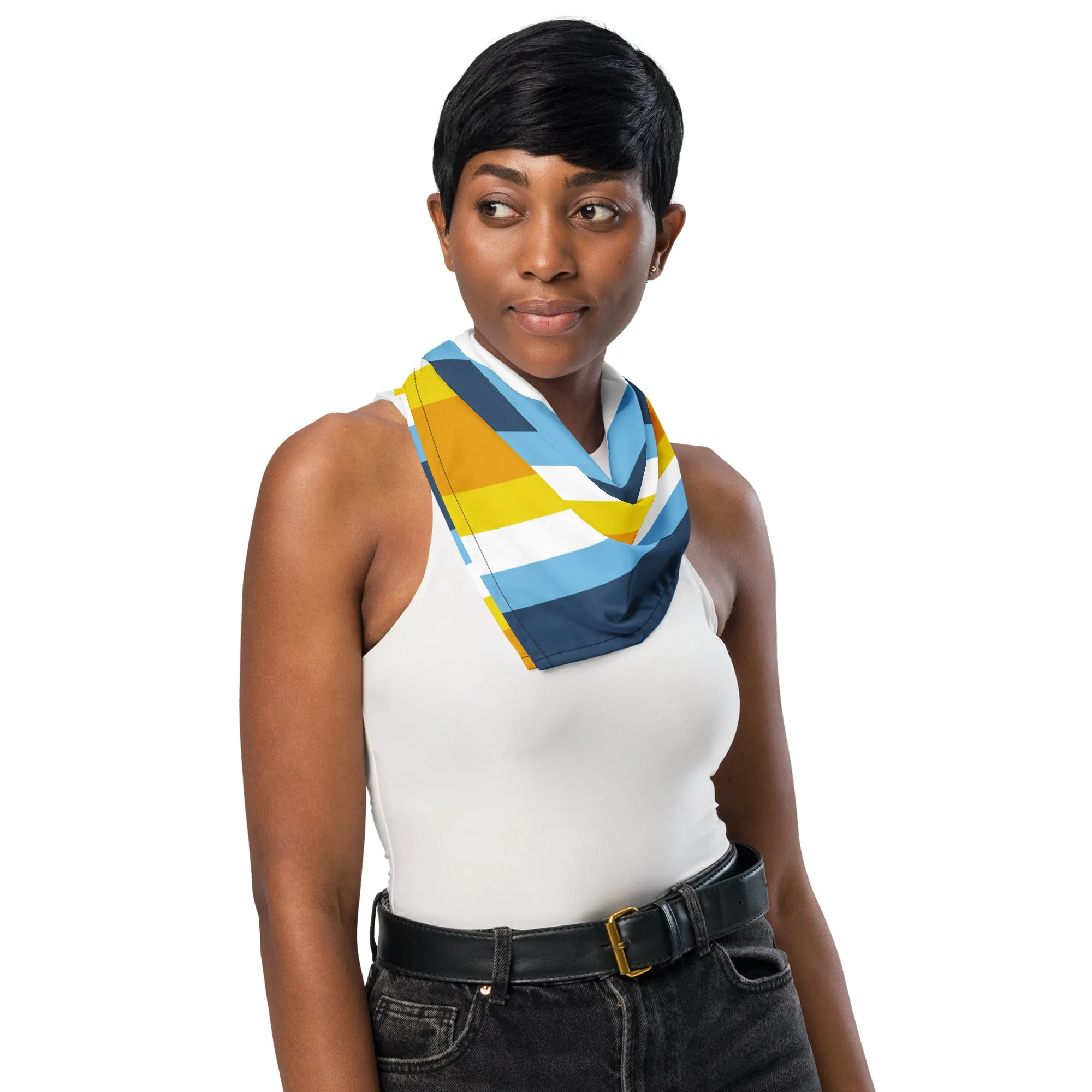 AroAce Flag Bandana