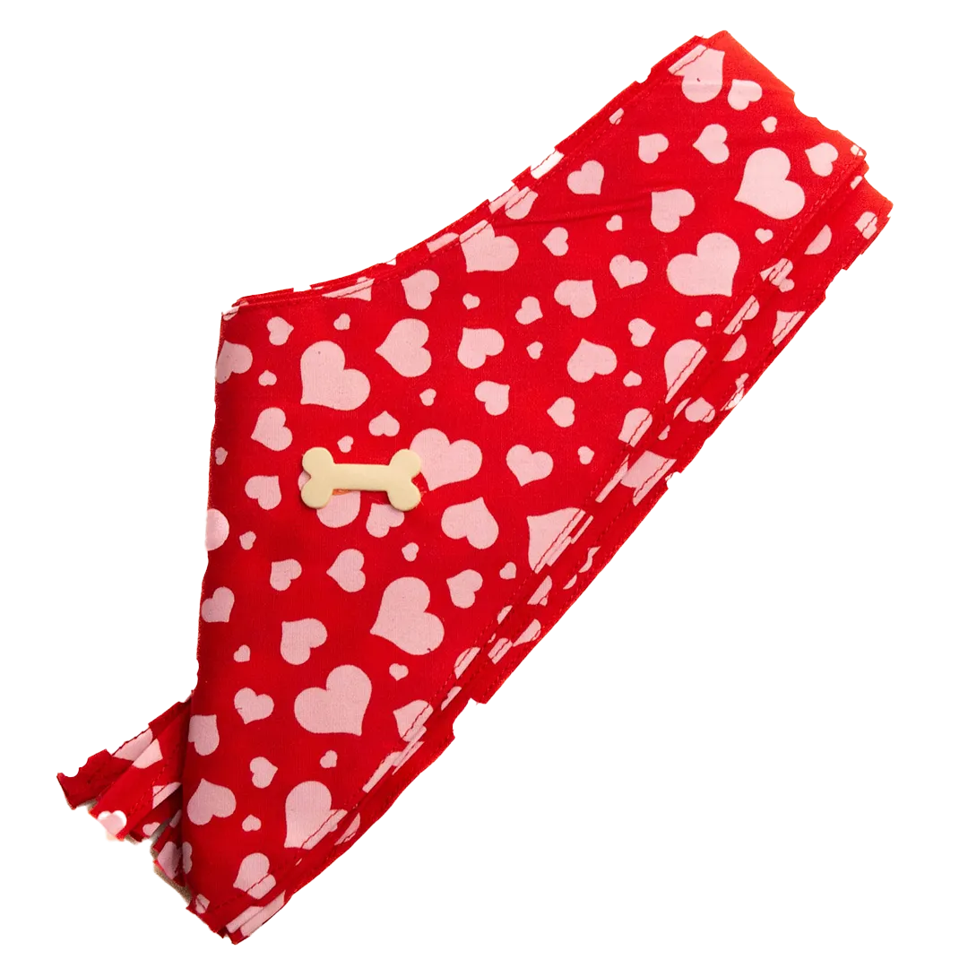 Dog Bandana Design #31 by Cecilia (Set of 10)