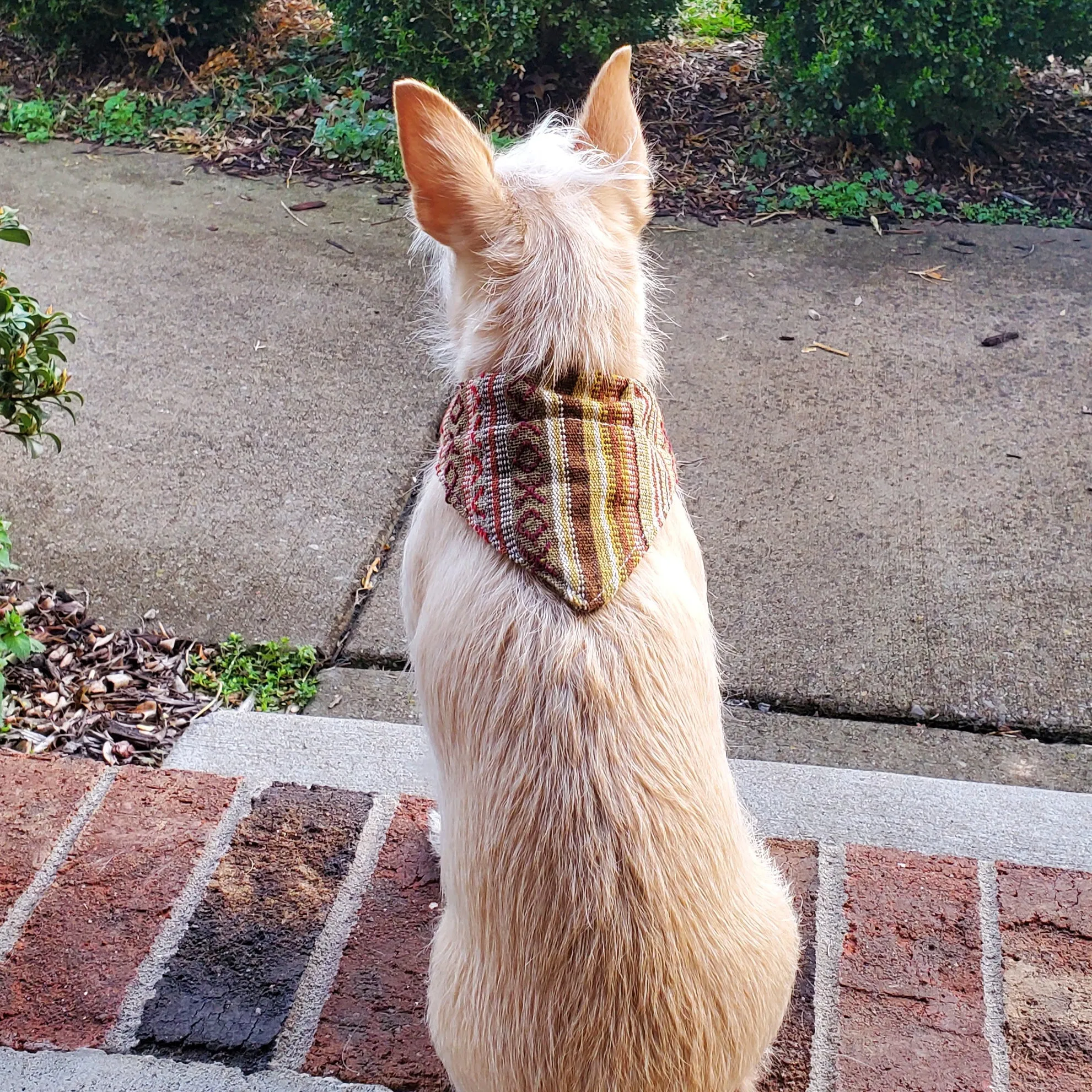 Dog Bandana Small - Moab Woven