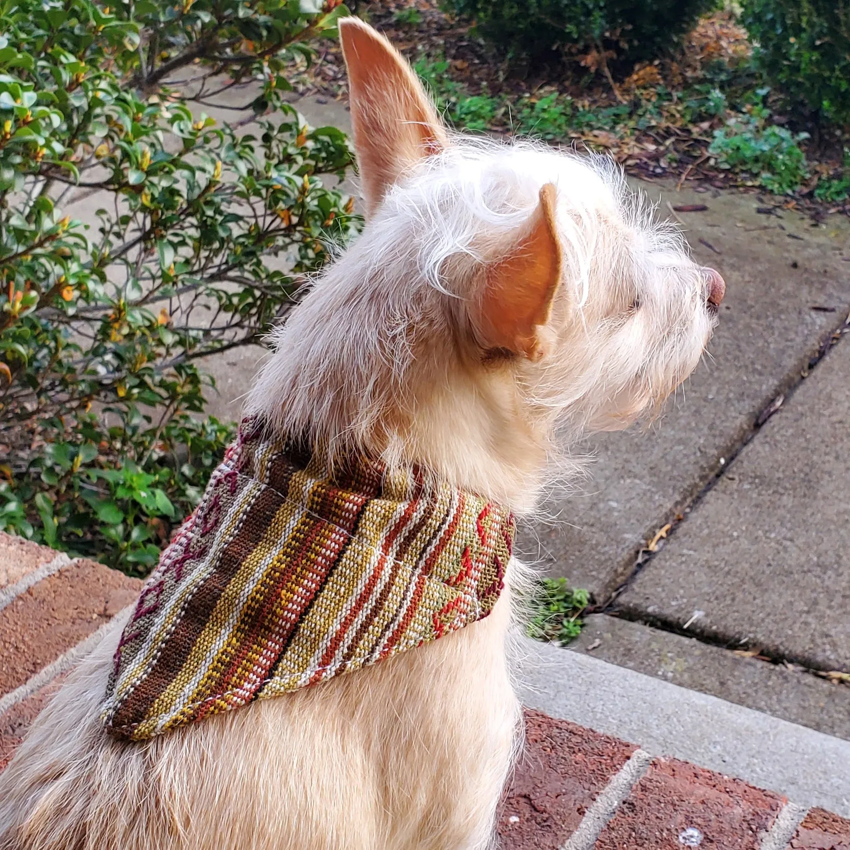 Dog Bandana Small - Moab Woven