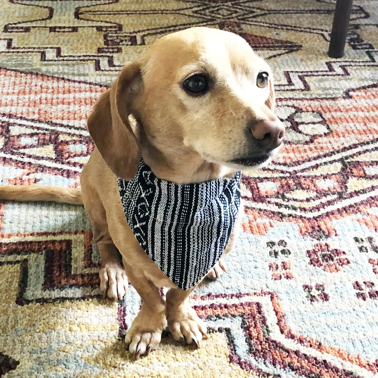 Dog Bandana Small - Salt & Pepper Woven