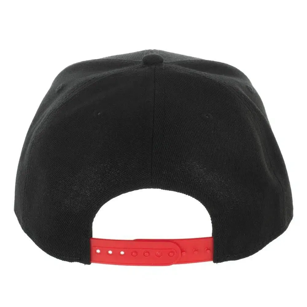 Dungeons & Dragons - Logo Snapback Hat (Flat Bill) - Bioworld