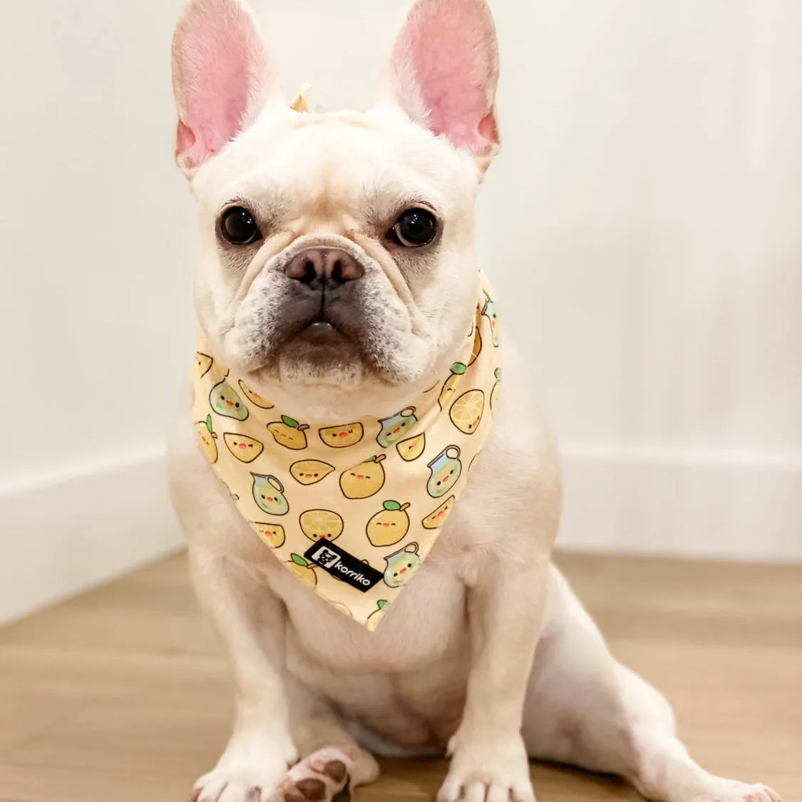 lemonade cooling bandana