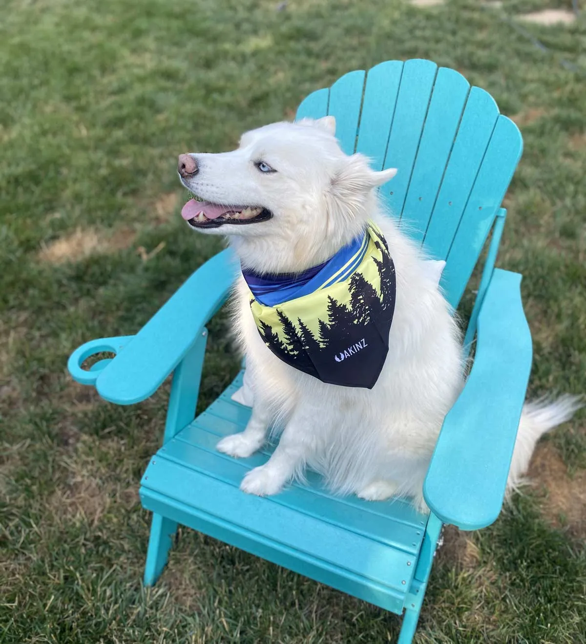 Morningside Dog Bandana