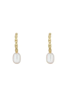 Pearl And Bark Harmony Hoop Earrings Gold