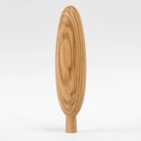 Poplar
