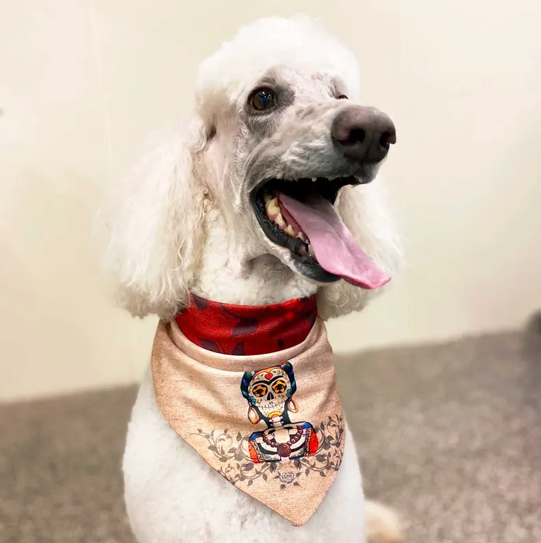 REVERSIBLE Sport Bandana