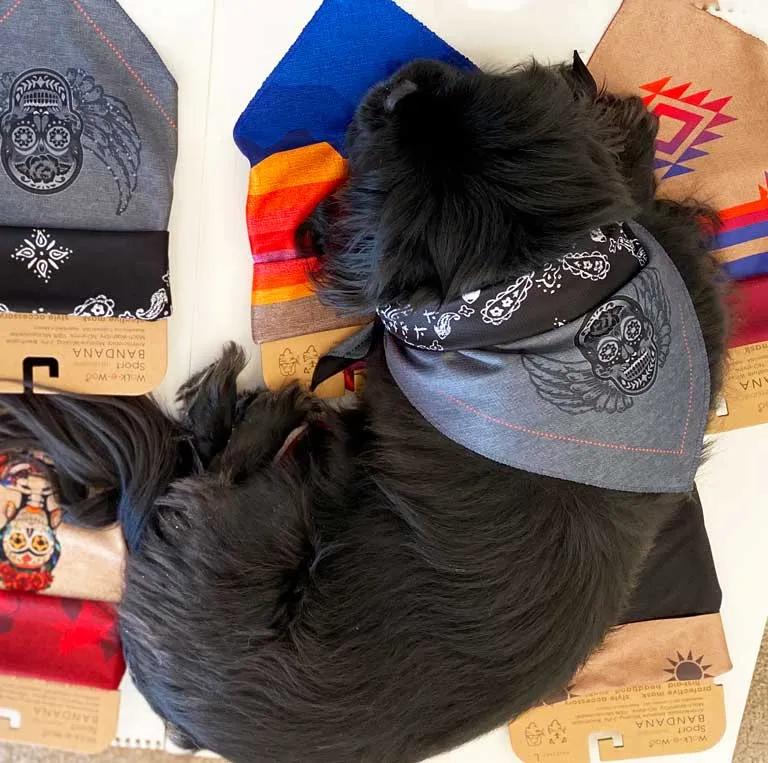 REVERSIBLE Sport Bandana