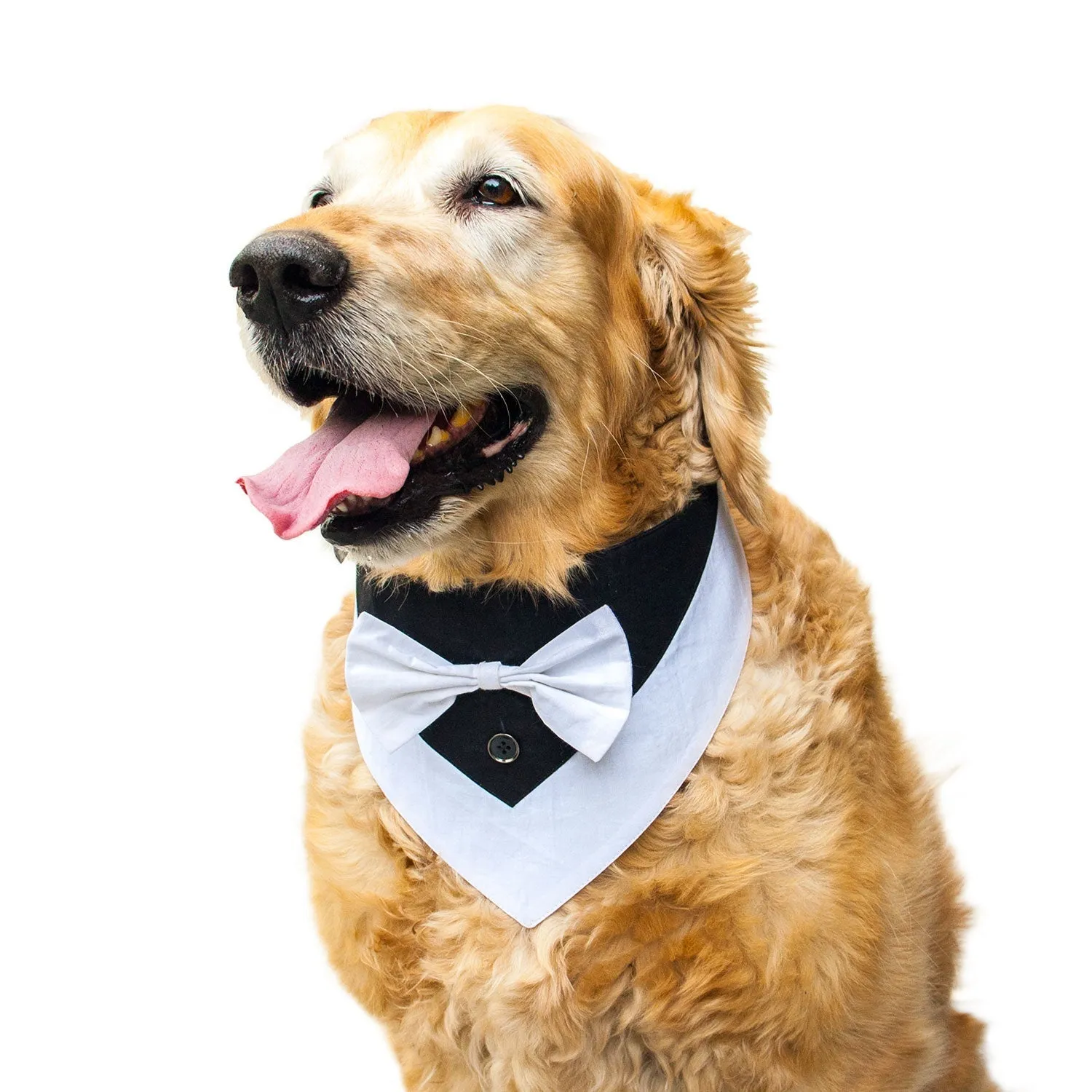 Reversible Tuxedo Bandana for Dogs