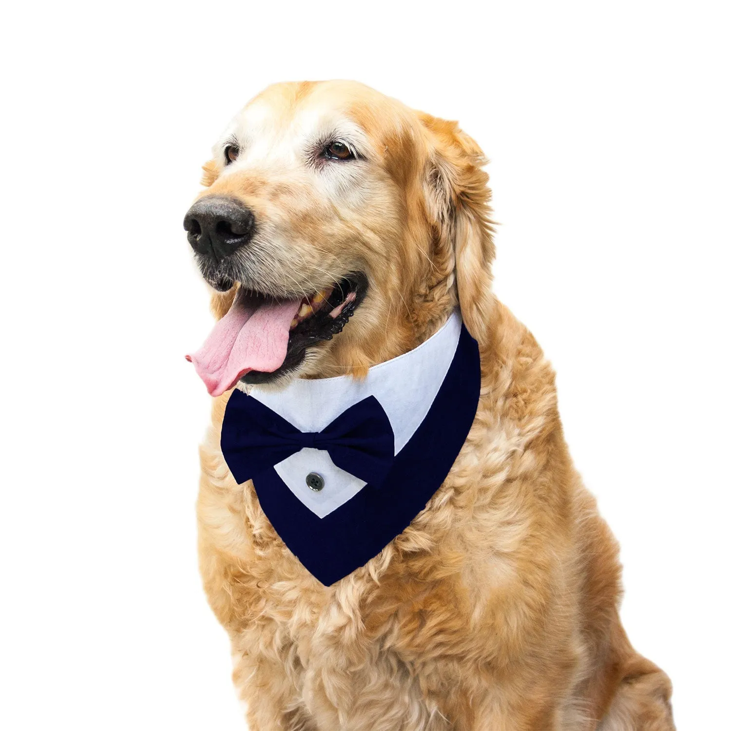 Reversible Tuxedo Bandana for Dogs