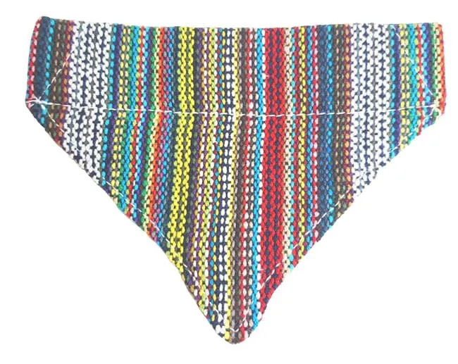 Walking Palm Dog Bandana