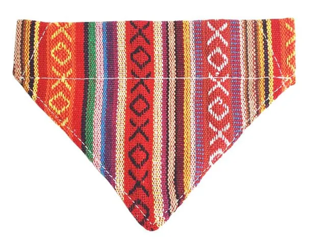 Walking Palm Dog Bandana
